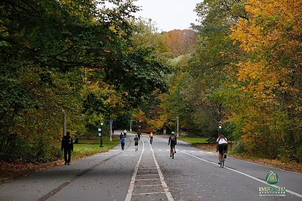 Rented by Evergreen Apartments BK | media 11