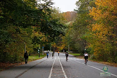 Rented by Evergreen Apartments BK