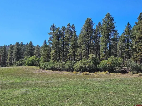 TBD County Road 502, Bayfield, CO 81122