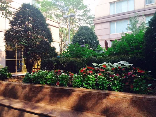 Rented by Owner | media 10