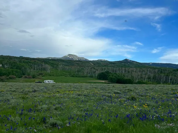 1351 Fiddleneck Dr, Craig, CO 81625