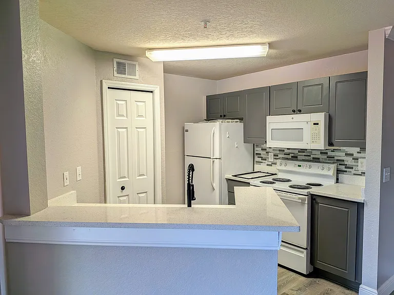 4209 Woodstorks Walk Way #205 — Photo 14