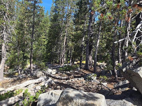 5th image of 21031 Donner Pass Rd