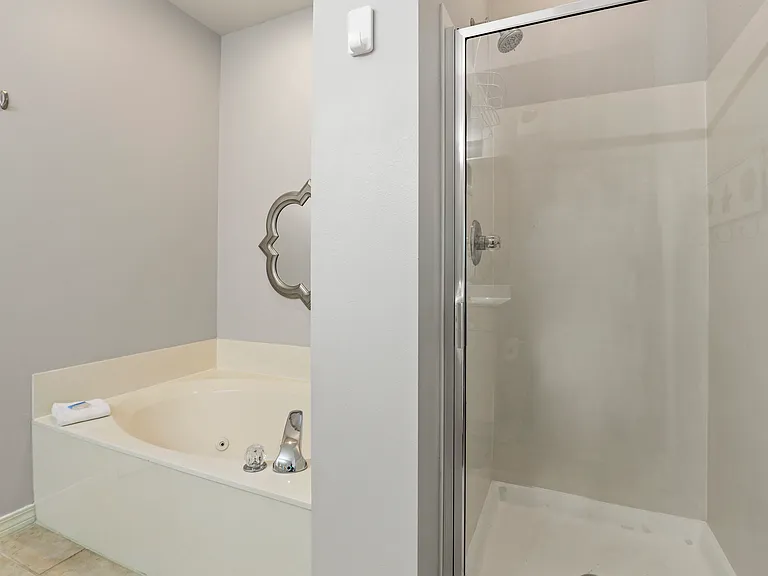 Master Bath Tub & Shower