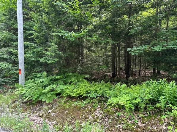 TBD Dingley Road, Bowdoinham, ME 04008