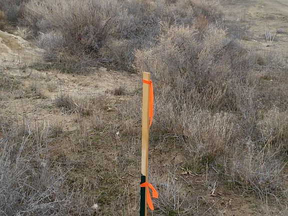 4th image of 420 Hobo Ln
