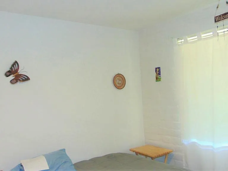 262 S Paseo Cerro #B — Photo 7