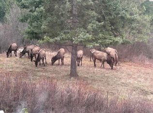 21160 N Corbin Hill Rd, Hayden Lake, ID 83835