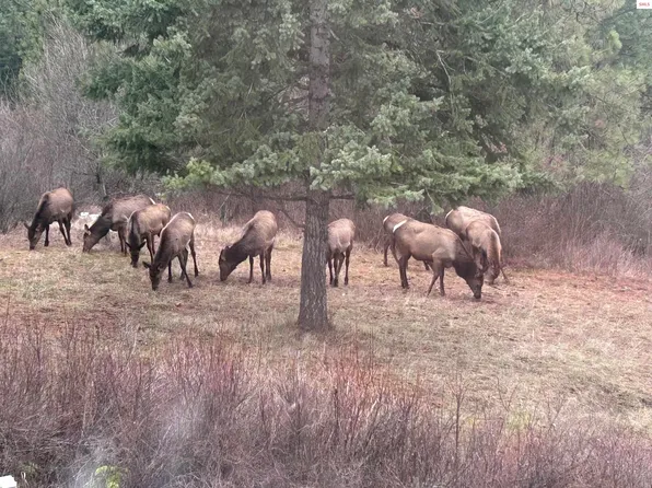 21160 N Corbin Hill Rd, Hayden Lake, ID 83835