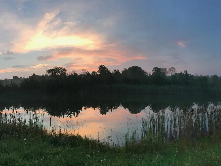 Half-acre pond
