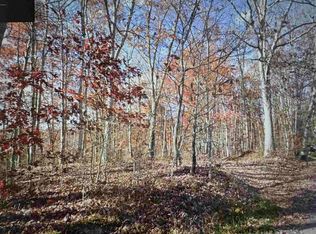 0 Polecat Rd, Camden On Gauley, WV 26208