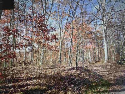 0 Polecat Rd, Camden On Gauley, WV, 26208