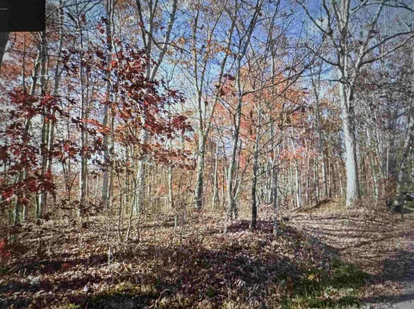 0 Polecat Rd, Camden On Gauley, WV 26208