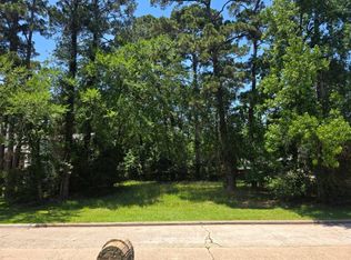 3303 Hemingway Dr, Montgomery, TX 77356