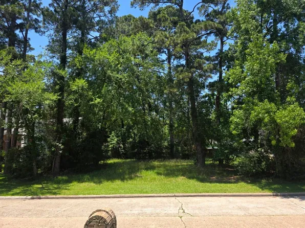 3303 Hemingway Dr, Montgomery, TX 77356