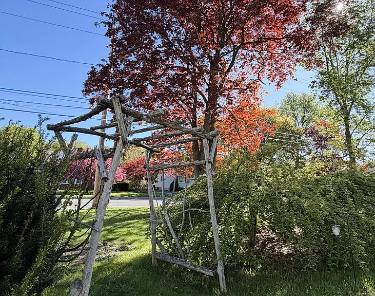 398 Elm St — Photo 7