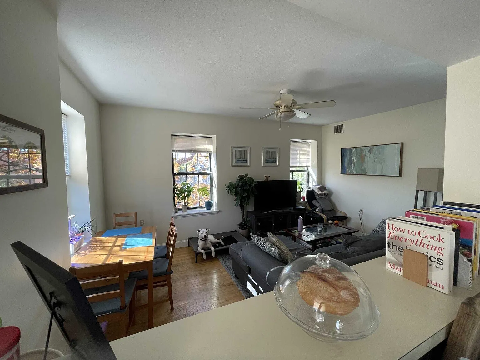 2 bed, $3,000 — Photo 2
