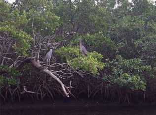 Terra Ceia Rd, Terra Ceia, FL 34250