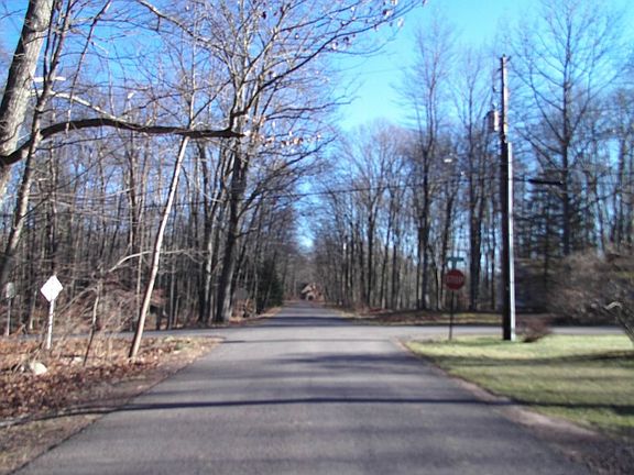 4th image of 115 Oak Ln