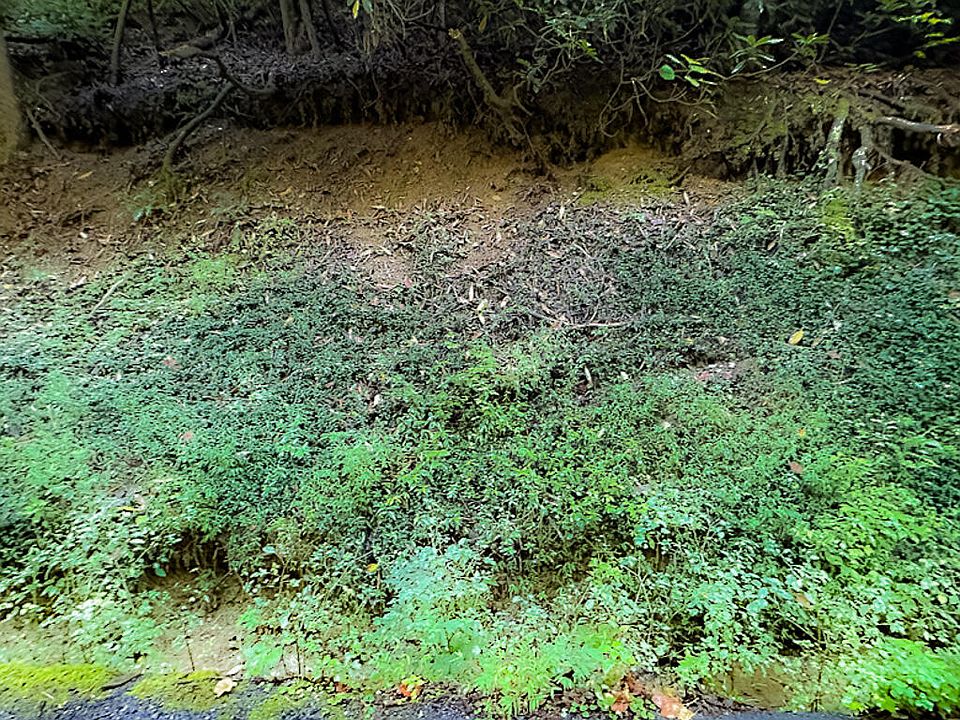 1st image of LOT 8 Shields View Dr