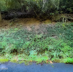 LOT 8 Shields View Dr, Gatlinburg, TN, 37738