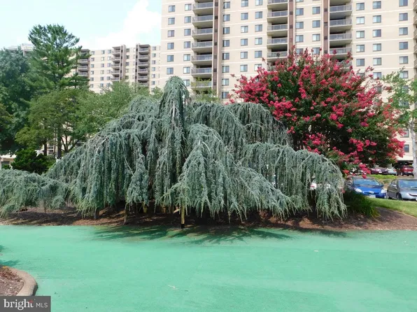 309 Yoakum Pkwy APT 504, Alexandria, VA 22304