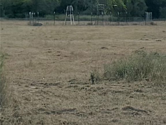 2nd image of 3463 County Road 332