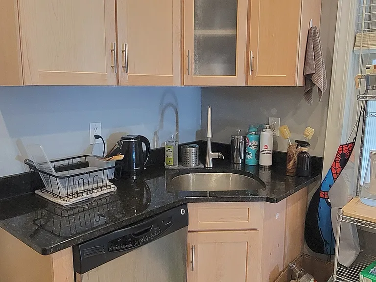 Corner kitchen sink and dishwasher