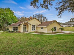 11108 Haskell Dr, Clermont, FL 34711