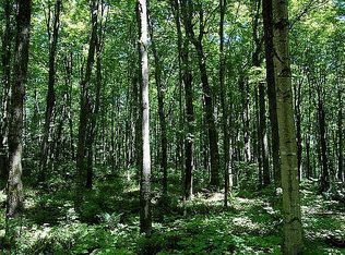 W Sutton Rd, Metamora, MI 48455