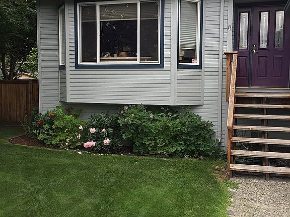 Front yard
