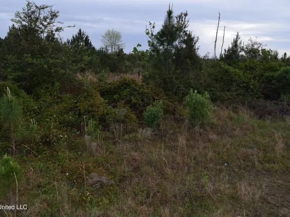 W Wortham Rd, Saucier, MS 39574
