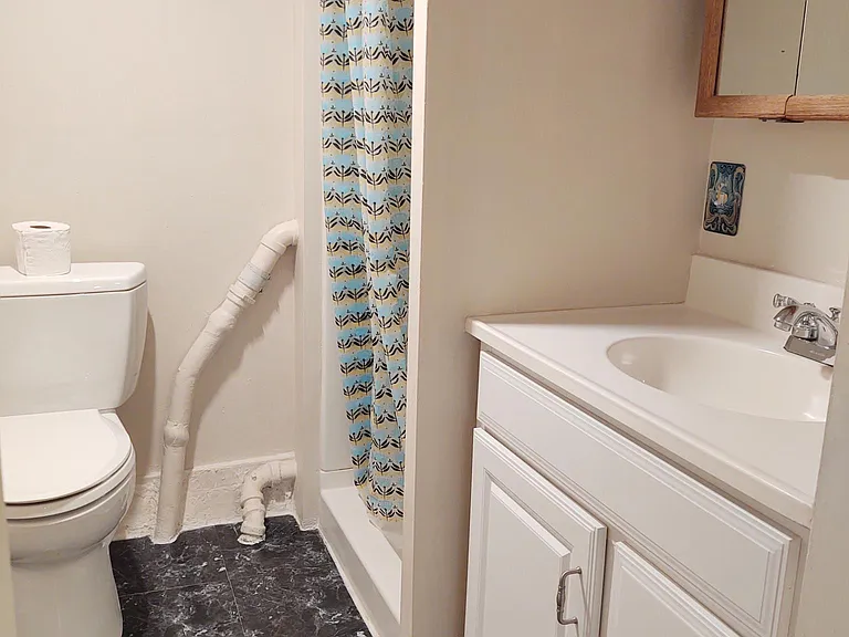 Bathroom has new Toto toilet and new flooring