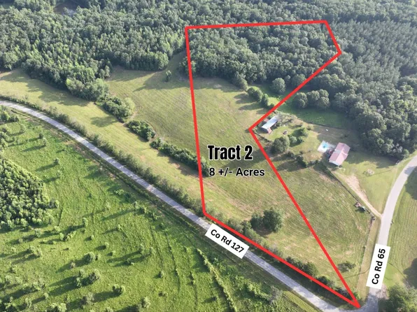 8/ACRE S County Road 127 Tract #2, Roanoke, AL 36274
