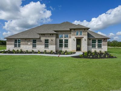 10811 Chestnut Warbler, New Braunfels, TX, 78132