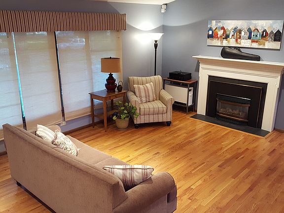 Gas insert Fireplace