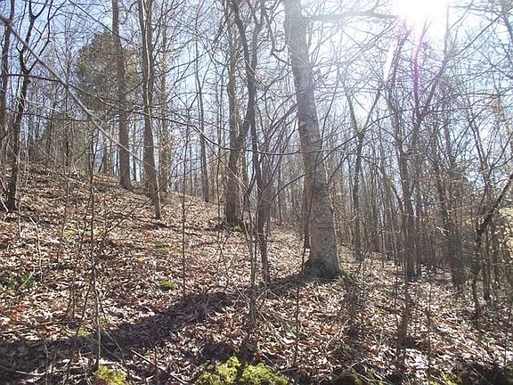 4th image of 605 Parkers Camp Ln