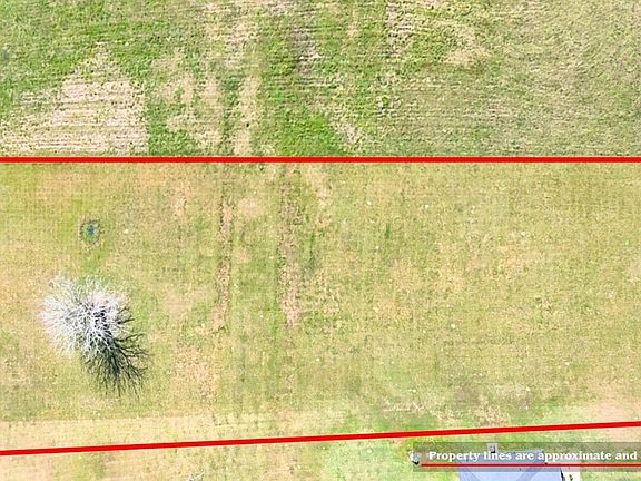 5th image of 813 Longhorn Trl