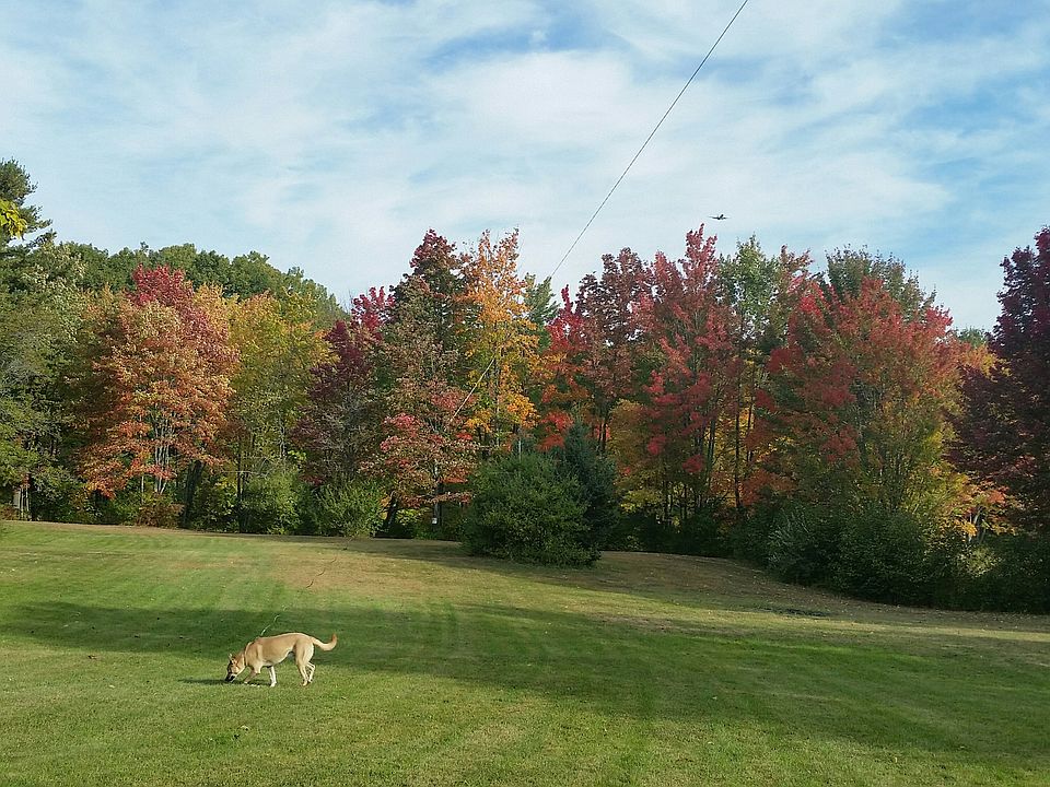 2nd image of 13 Dutch Meadow Ln