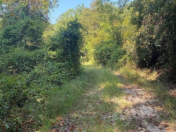 4th image of 1744 County Road 57 Rd