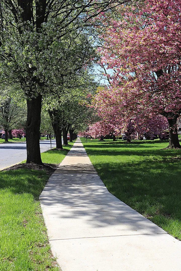 Highland Park — Photo 3