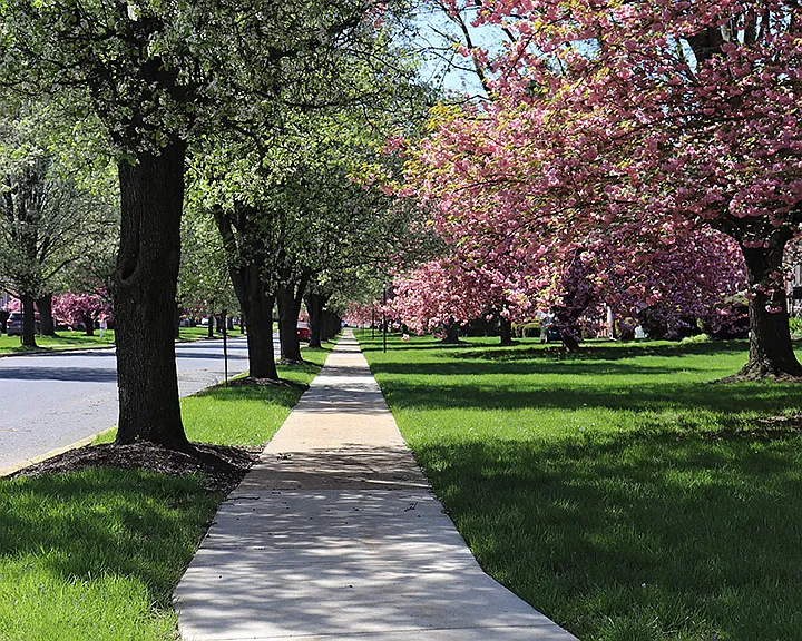 Highland Park — Photo 15