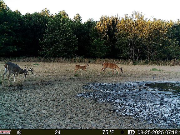 3rd image of E 1150th Ave
