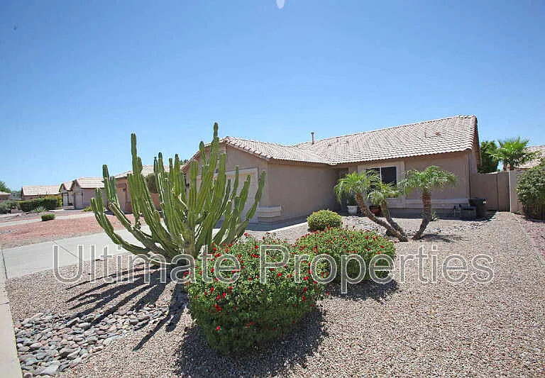 20622 N 102nd Ln — Photo 3