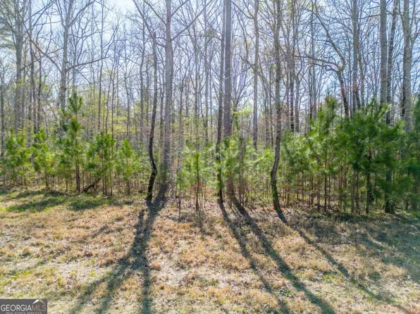 1301 Sailview Dr, Buckhead, GA 30625