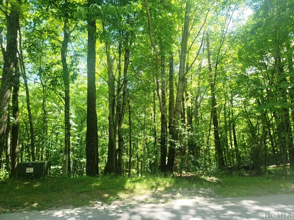 Lot 36 Locust Court, Sapphire, NC 28774