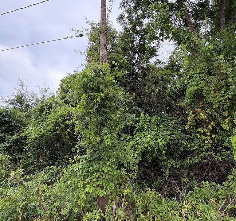 2nd image of LOT 70 McKenzie St