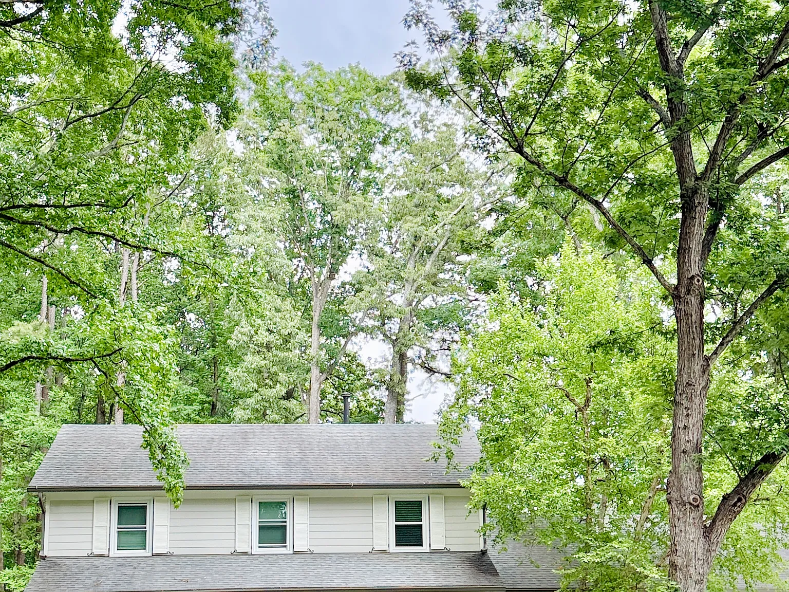 4 bed, 2.5 bath, 2268 sqft, $5,000 — Photo 4