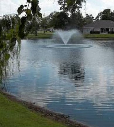 Pond