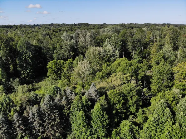 39th Ave, Paw Paw, MI 49079